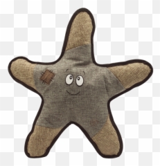 Snugarooz Sophie The Starfish Plush Dog Toy - Starfish Plush Png,Starfish Transparent