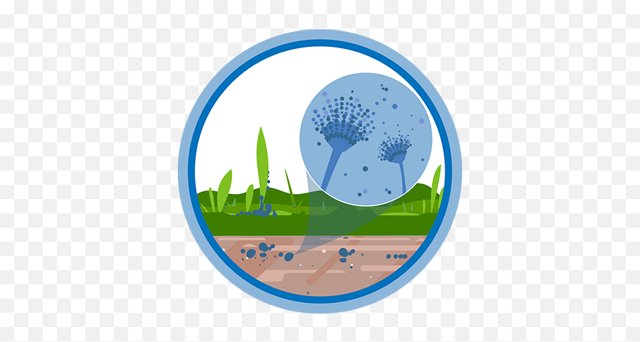About Fungal Diseases Cdc - Clioart Printing Design Png,Mushrooms Icon