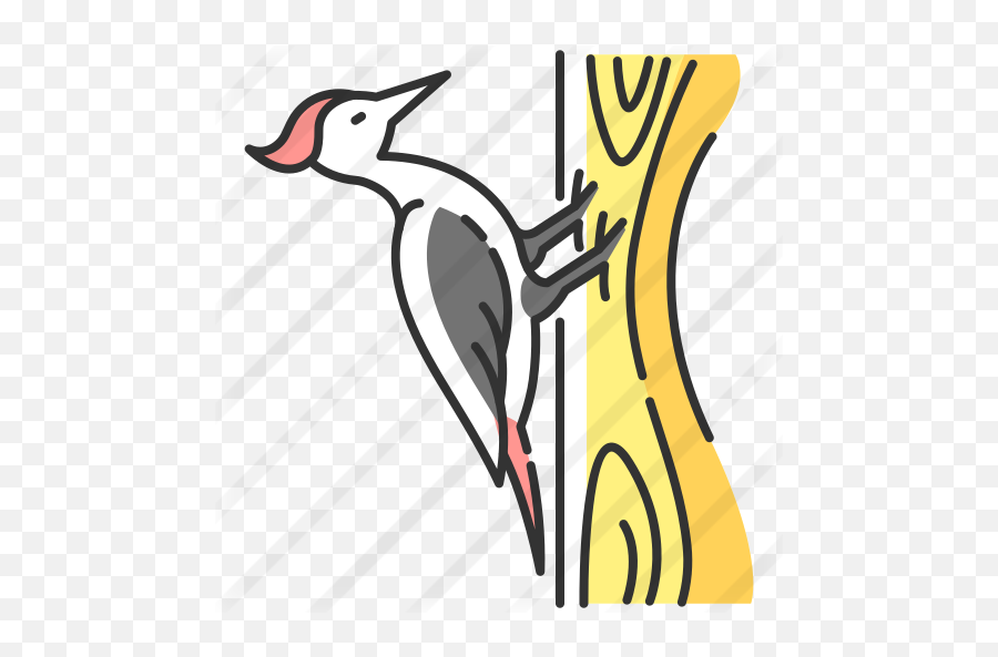 Woodpecker - Woodpecker Png,Woodpecker Icon