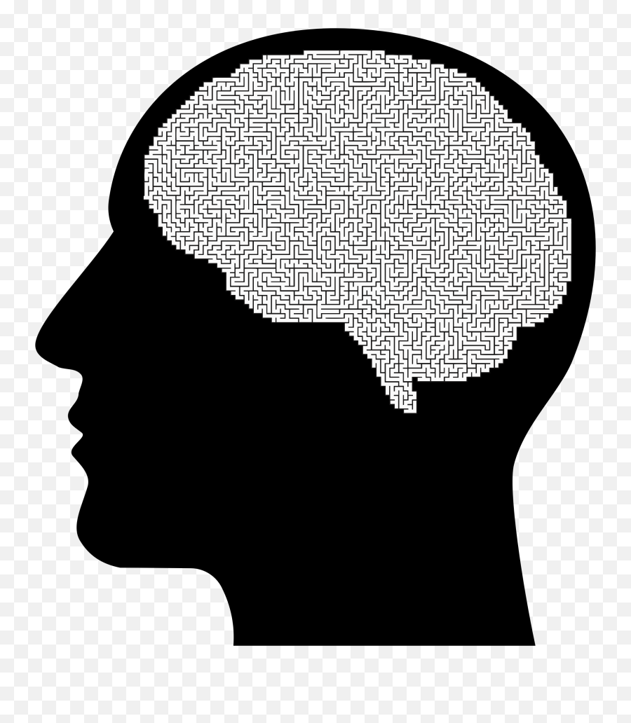 The Female Brain Human Head - Man With Brain Silhouette Png,Human Brain Png