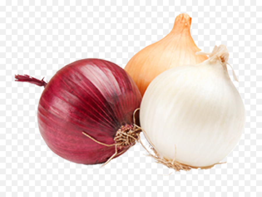 Format Definition Wallpapers V09 Png Citrus Onion
