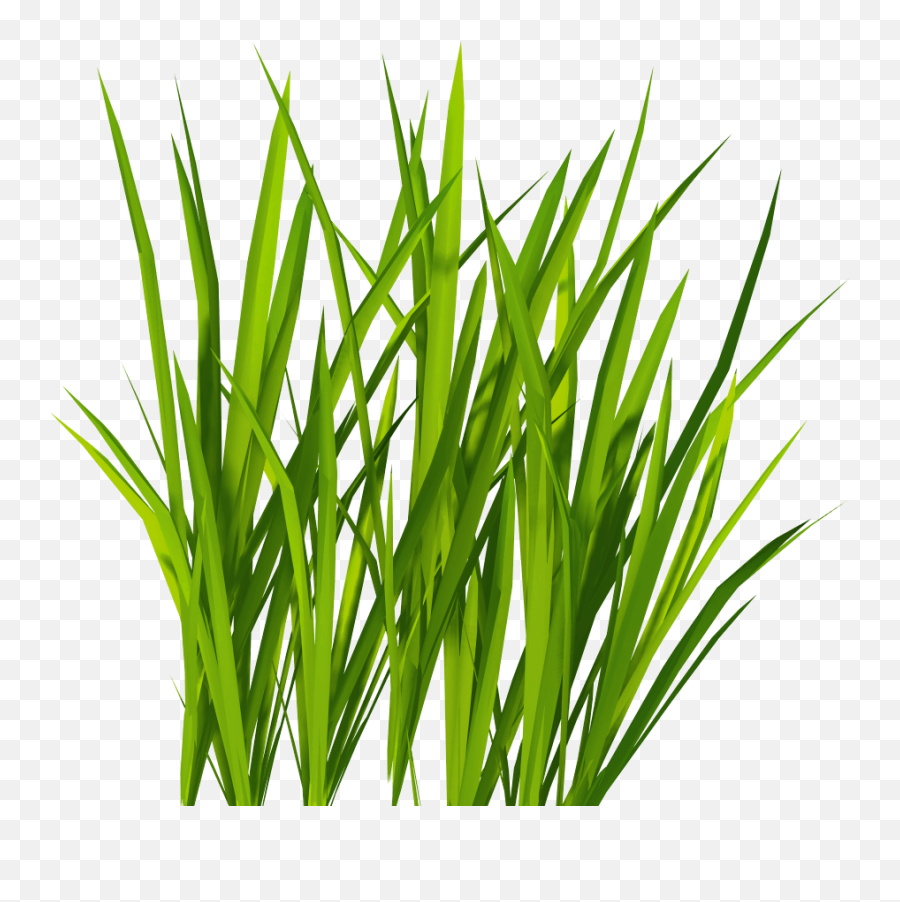 Hd Transparent Grasses - Free Grass Png,Grasses Png