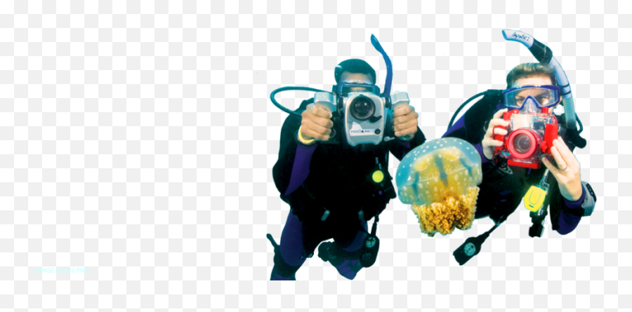 Scuba New York Certification - Digital Underwater Photographer Png,Scuba Diver Icon