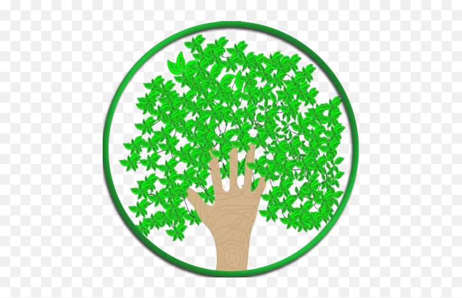 Masters Touche Foundation U2013 Ngo Kindness - Tree Png,Money Tree Icon