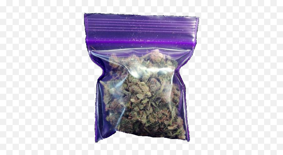 Cannabis Smoking Humour Joint - Bag Of Weed Png Transparent,Weed Transparent Background