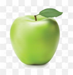 Download Applegreen - Fresh Shiny Green Apple Png,Green Apple Png
