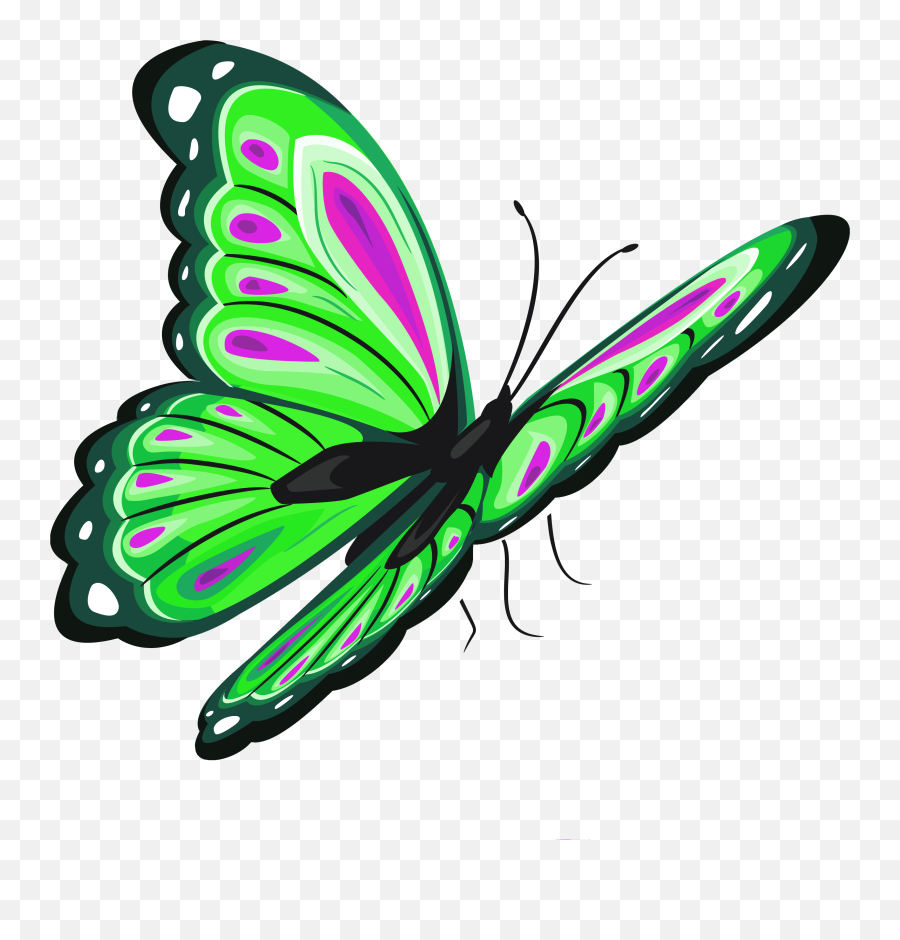 Free Png Butterfly - Transparent Clip Art Butterfly,Purple Butterfly Png