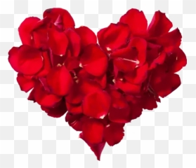 Heart Rose Png Clipart - At Üstünde Türk Bayra