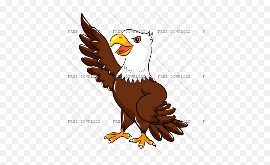 Eagle Hawk Kite Bird Png Image With Transparent Background Turkey