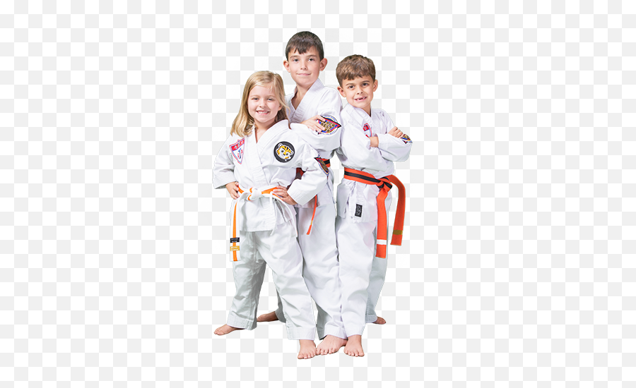 Download Kids Martial Arts Classes - Kids Martial Arts Png,Martial Arts Png