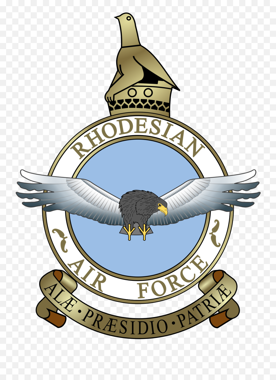 Force Drawing - Royal Rhodesian Air Force Png,Glitter Force Logo
