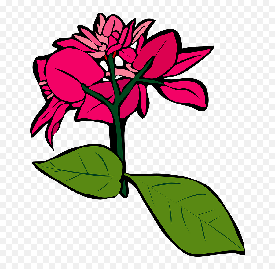 Bougainvillea Flower Clipart - Clip Art Png,Bougainvillea Png