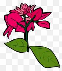 Bougainvillea Flower Clipart - Clip Art Png,Bougainvillea Png