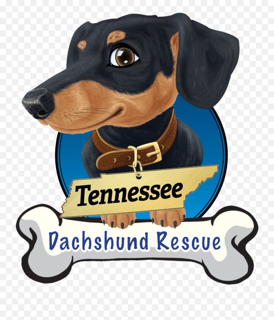 Tn Dachshund Rescue Png