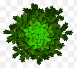 Stylized Textures Of Shrubs And Tree Tops - Illustration png
