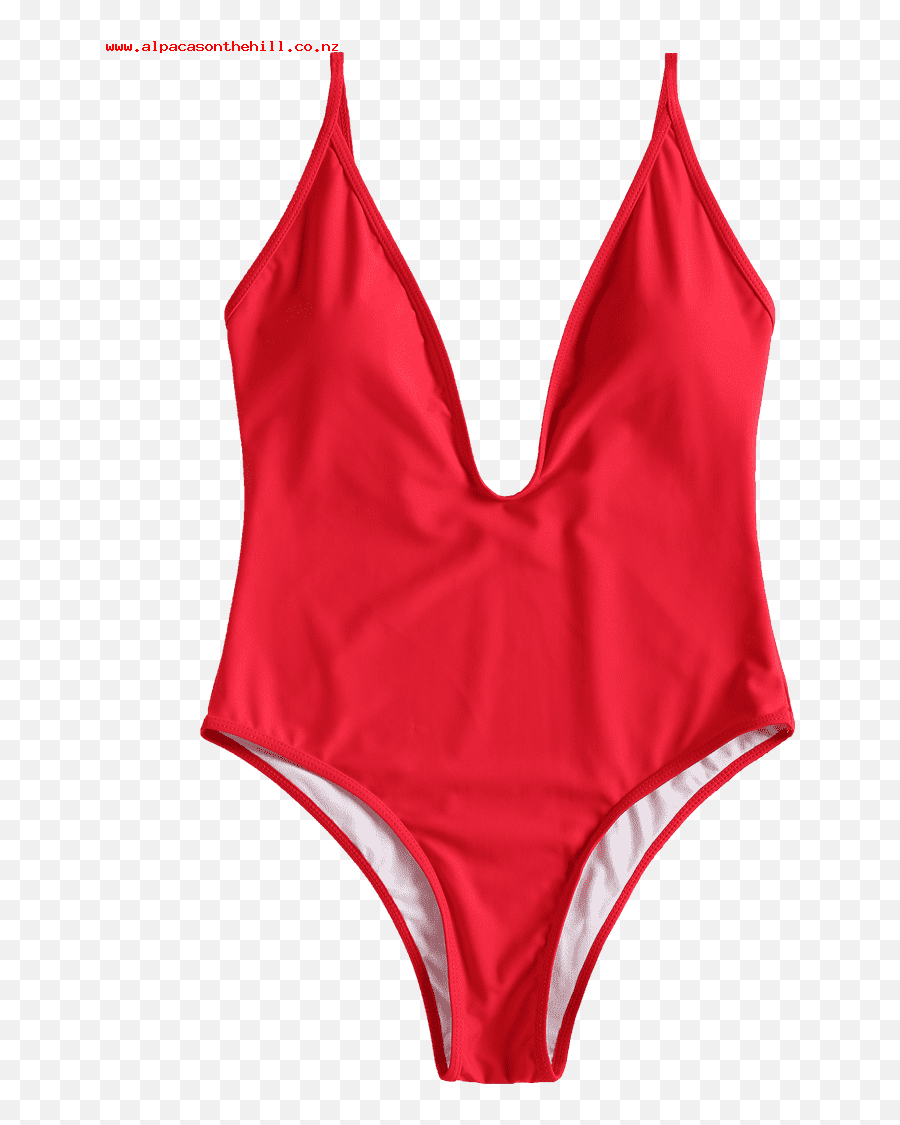 One Piece Swimsuit Zwltao1u Larger Image - Swimsuit Clipart Lingerie Top Png,Swimsuit Png