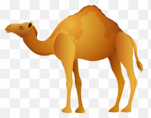 Camel Png Clip Art Transparent