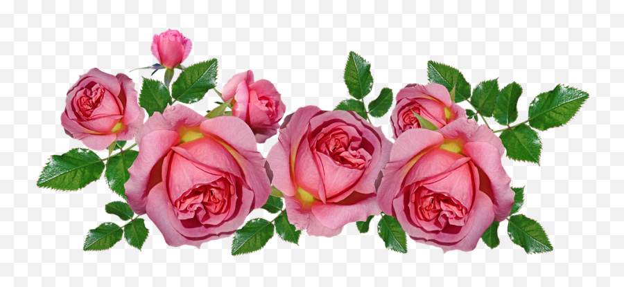 Roses Pink Arrangement - Imagens Png De Rosas,Rosas Png