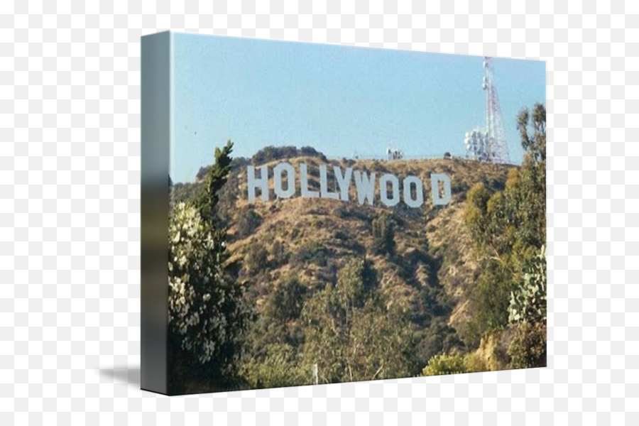 Hollywood Sign By Edward Molina - Hollywood Sign Png,Hollywood Sign Png