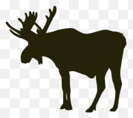 Hunting Moose Left Facing Standing - Transparent PNG u0026 SVG Caribou