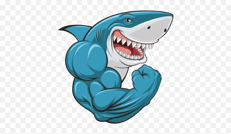 Printed Vinyl Tough Muscle Gym Shark Body Builder Right - Cartoon Shark With Muscles Png,Cartoon Shark Png