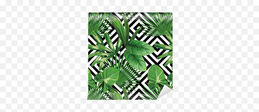 Tropical Palm Leaves Pattern Geometric Background Wallpaper Png