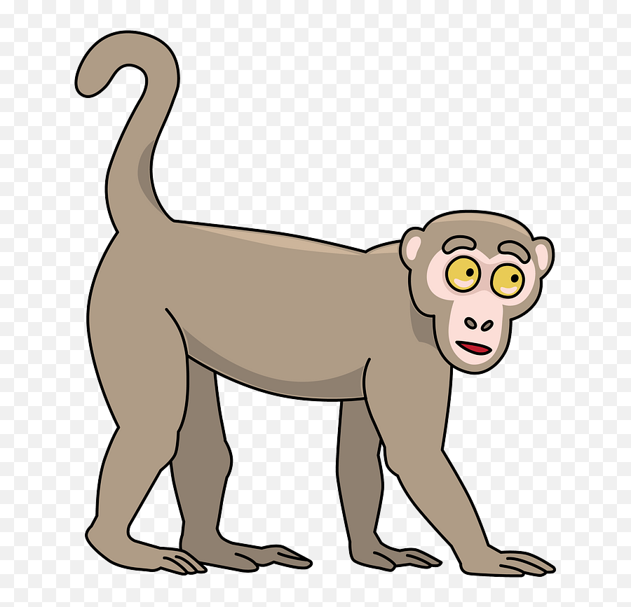 Monkey Clipart - Transparent Monkey Clipart Png,Monkey Transparent