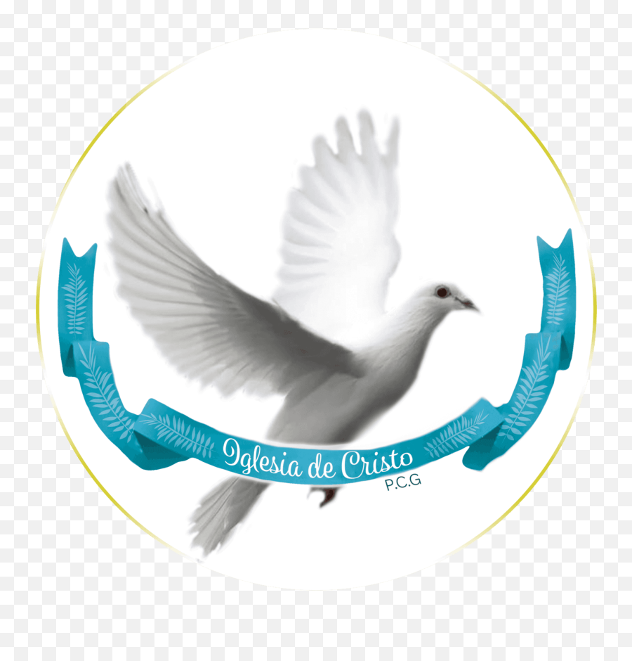 Iglesia De Cristo Carros Rayados - Homing Pigeon Png,Iglesia Ni Cristo Logo