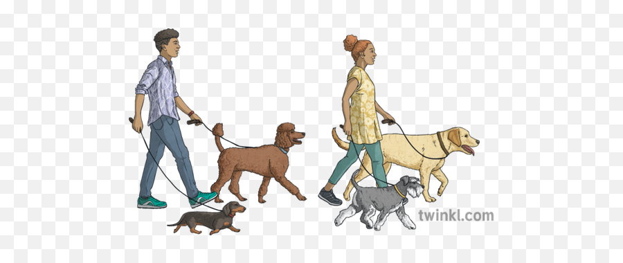 Man And Woman Walking Dogs Animals People Ni Linguistic - Leash Png,People Walking Dog Png