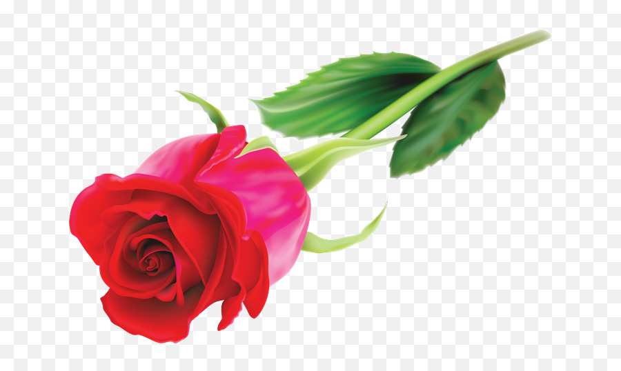 Png Rosas Rojas - Zyczenia Na Dzien Kobiet Gif,Rosas Rojas Png