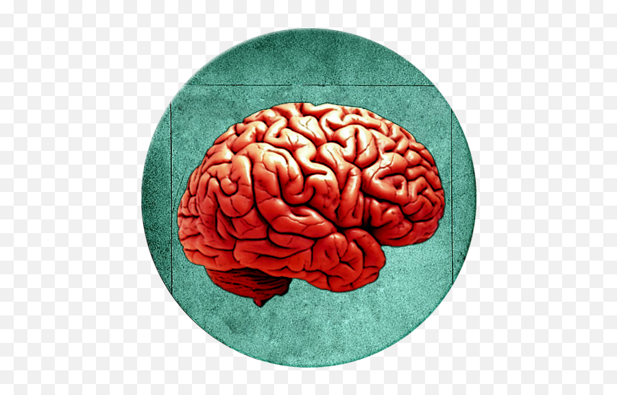 Philosophy - Apkonline Brain Png,Philosophy Icon