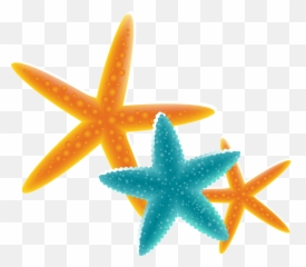 Starfish Free Content Clip Art - Starfish Transparent Png Starfish,Starfish Transparent