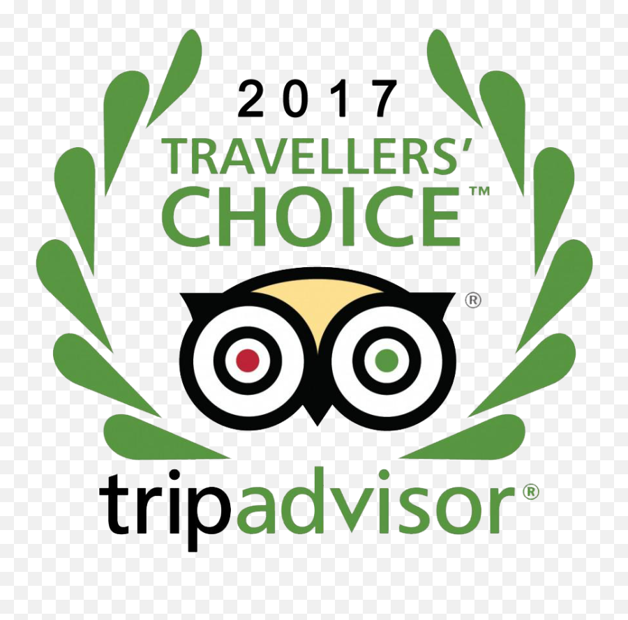 Tripadvisor 2017 Travelers Choice Awards - Tripadvisor Travellers Choice Awards 2016 Png,Tripadvisor Icon Png