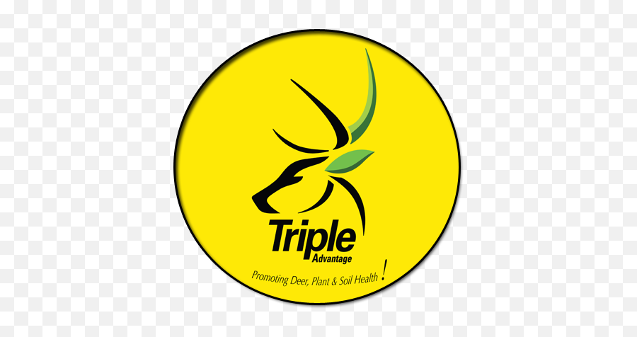 Triple Advantage Group - Home Triple Double Png,Minerals Icon