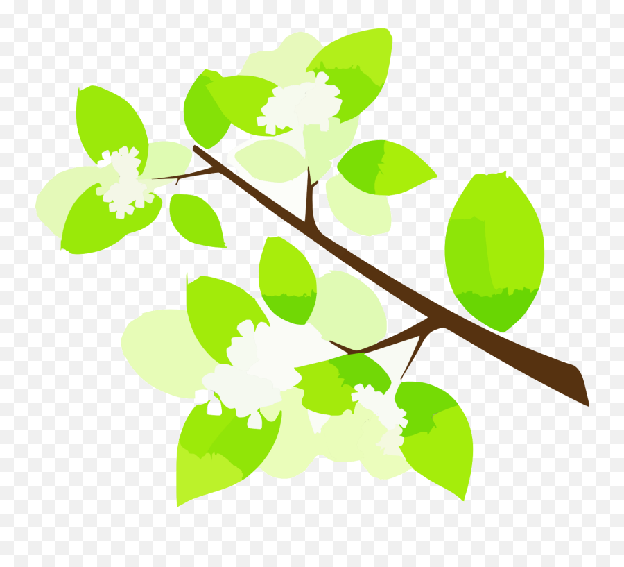 Green Tree Branch Icon Svg Vector - Twig Png,Tree Branch Icon