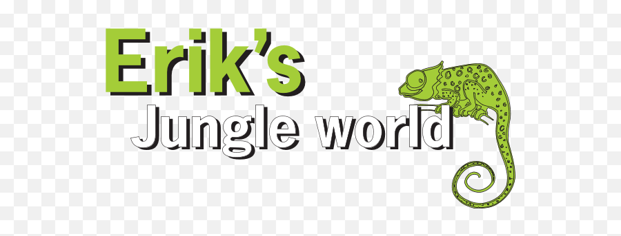 Eriku0027s Jungle World Logo Download - Logo Icon Png Svg National Geographic Explorer,Jungle Icon
