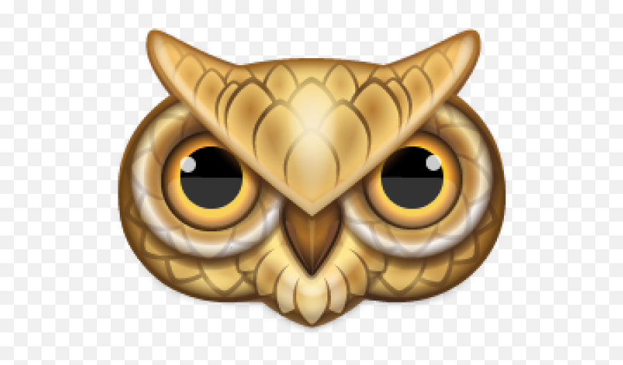 Owl Face Png - Owl Icon 365164 Vippng Owl Face Cartoon Png,Owl Icon
