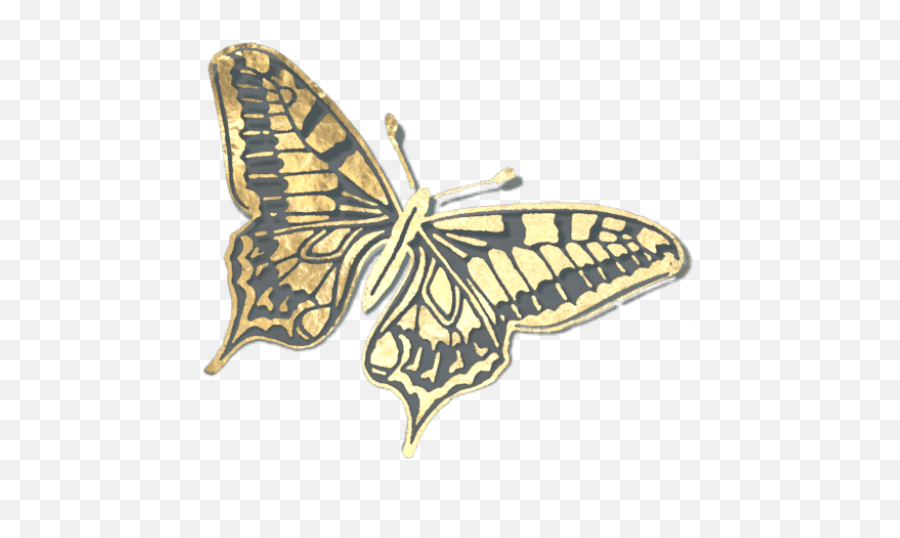 Catholic Inspired - Catholic Blogs Linkup Feel Free To Old World Swallowtail Png,St Philomena Icon