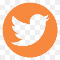 Chuck Taylor The King Of Sneakers U2013 Harper Marmont - Circle Twitter Transparent Logo png