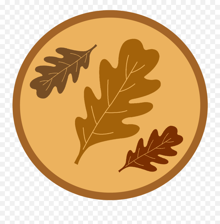 Interactive Map Gallery - Illustration Png,Oak Leaf Icon