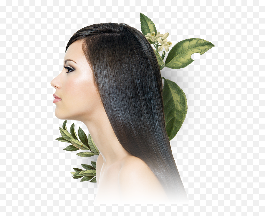 Shampoo Clarifying Evolution Hair - Hair Png Girl For Shampoo,Women Hair Png