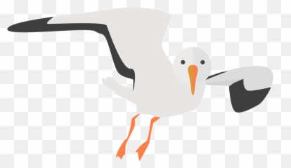 Seagull Animal Water Bird - Cartoon Sea Bird Png,Seagull Png