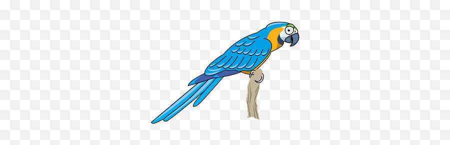 Parrot Clipart Free Download In Png Or Vector Format - Parrot Clipart,Pirate Parrot Png