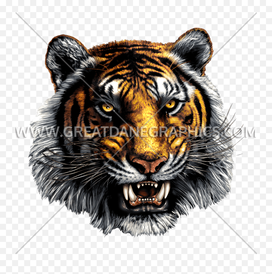 Tiger Mascot Head Production Ready Artwork For T - Shirt Chatham Central High School Png,Tiger Head Png