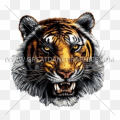 Tiger Mascot Head Production Ready Artwork For T - Shirt Chatham Central High School Png,Tiger Head Png