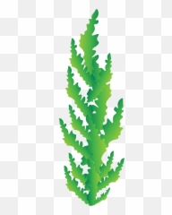 Renderman Popup Book - Clip Art Png,Seaweed Png