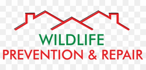 Jackson Tnu0027s 1 Opossum Prevention And Removal Service - Life Is Short Pray Hard Png,Opossum Png
