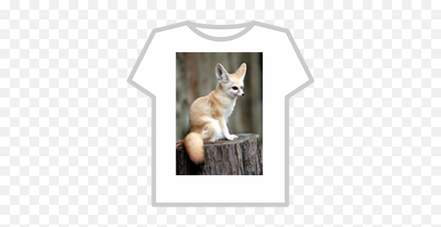 Fennec Fox - Roblox Beautiful Fennec Fox Png,Fennec Fox Png