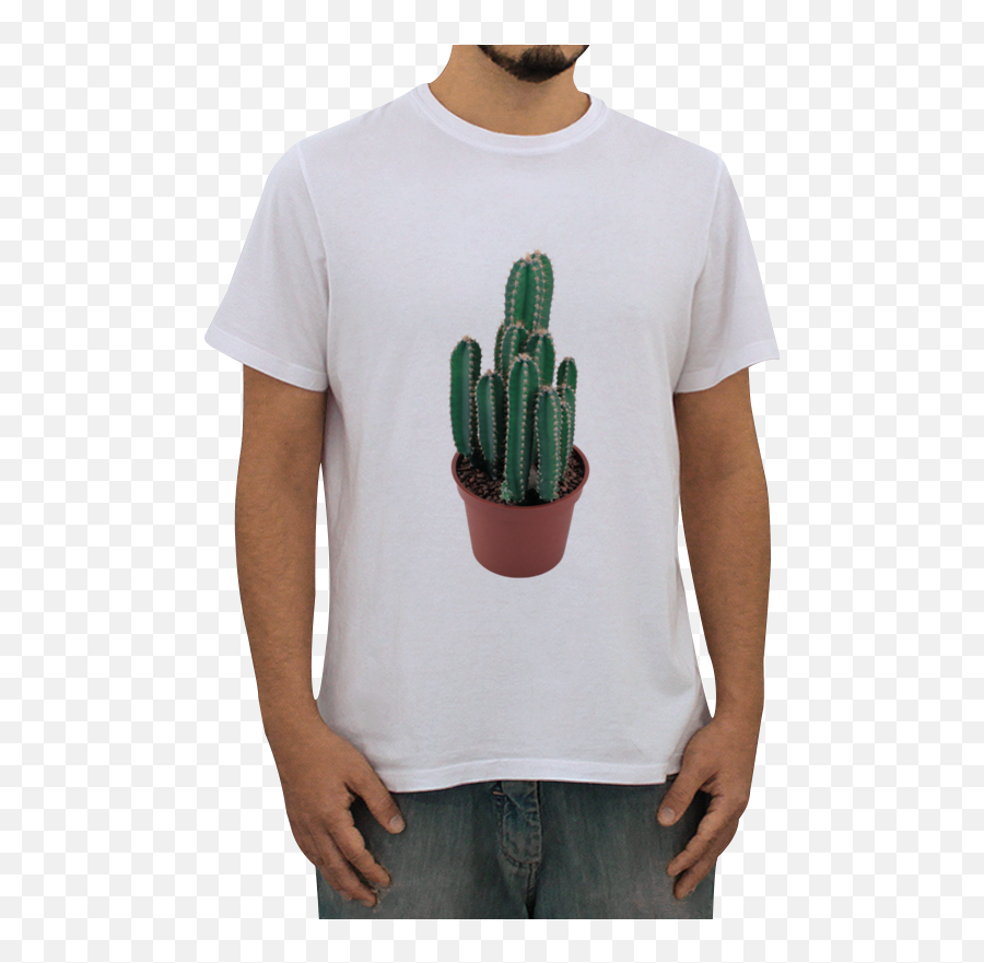 Camiseta Cactus Png De Marco Spindler Colab55 - Camisa Sem Tempo Irmão,Cactus Png