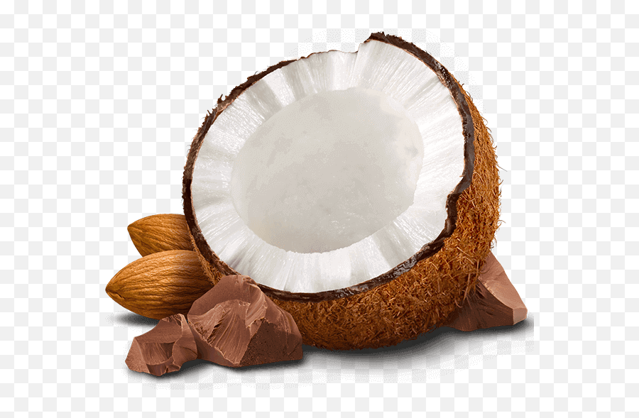 Vector Png Transparent Background - Coconut With Chocolate Png,Almond Transparent